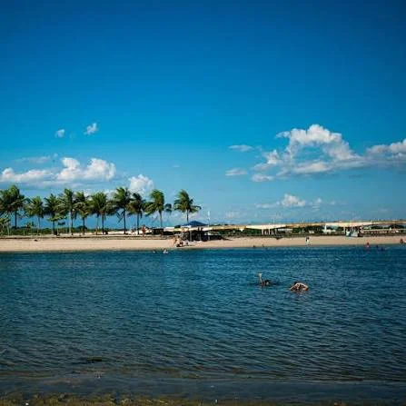 Orla do Piscinão de Ramos com coqueiros à beira d’água